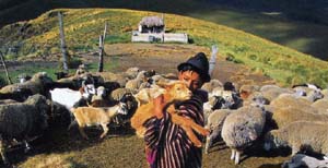 A young shepherd in the community. Credit: Philippe Henry