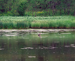 The earth is the Lord's and all it contains (Psalm 24:1)