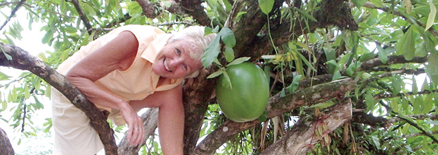Kate and the calabash tree
