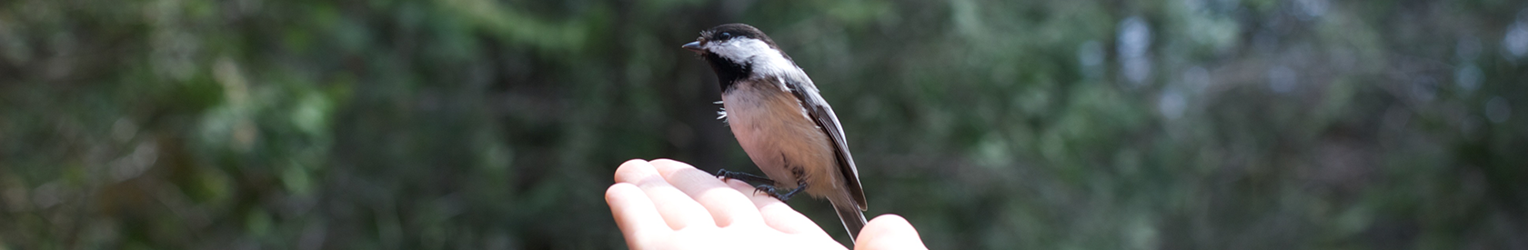 Justice, Peace & Integrity of Creation (JPIC) News