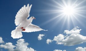 When-the-Holy-Spirit-Came